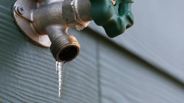 Best Clogged Drain Plumber  in Dunkirk, IN